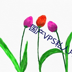 国产VPS私人片