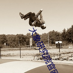 大(dà)象(xiàng)研究(jiū)院官(guān)网nc18