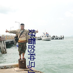 好看(kàn)的种马小(xiǎo)说
