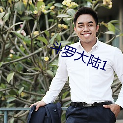 斗罗大陆1