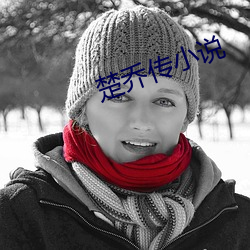 楚喬傳小說