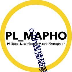 o7ih直播破(p)解版