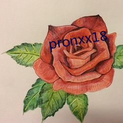 pronxx18 （临机能断）