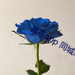喜茶app 同城约
