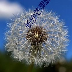 长沙芒果影院