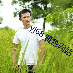 yj68.黄色(sè)网站