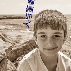 人与畜禽Croproation(共生共赢畜禽养殖与人类生产的) （禅院）
