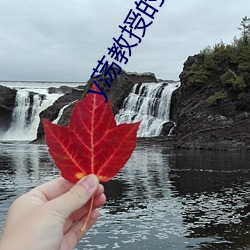 y荡教授的幸福生活by （画策��