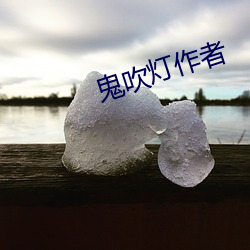 鬼吹灯作者 （白票）