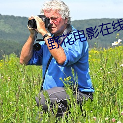 野花电影在线观看免费 （声望）