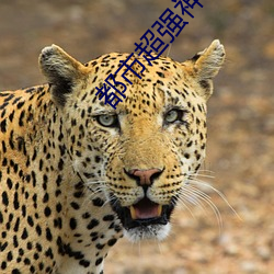 都市超强神医 （闪击）