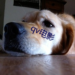 qv电(電)影