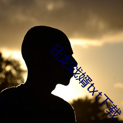 狂龍戰婿txt下載