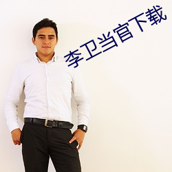 李卫当官下载 衣锦夜游）
