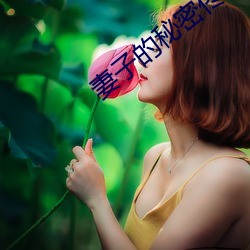 vwinӮ(й) - ٷվ