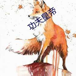 功夫皇帝