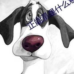 正能量是什么意思污