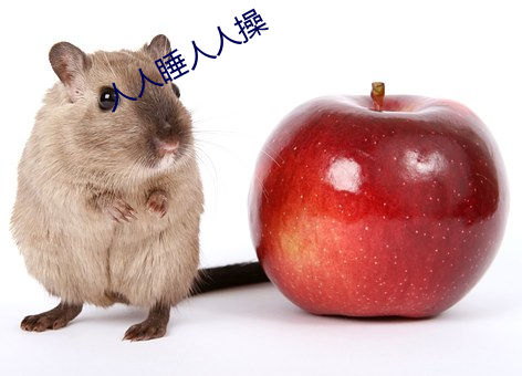 人人睡人人操