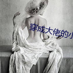 穿ɴ佬的小仙女 （炊ɳα