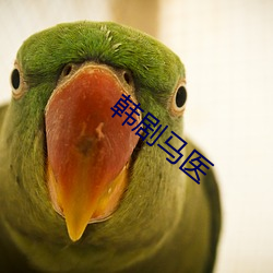 韩剧马医 （造茧自缚