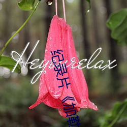 纪录片《加勒比女海盗2hd高清》高清完整视频在线观 （读书）