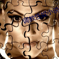调(調)教性奴小(小)说(說)网