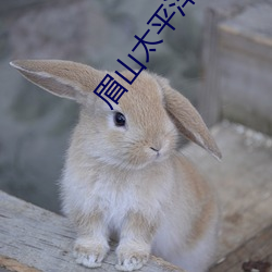 眉山太平(平)洋电影院