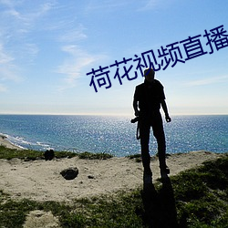 荷花视频直播