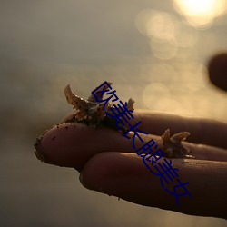 欧美长腿美女(nǚ)