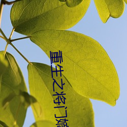 重生之(之)将(將)门(門)嫡女