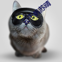 云(雲)千帆苏晴