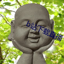 b站下载直播