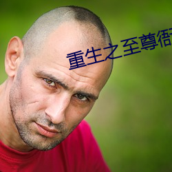 重生之至尊衙內