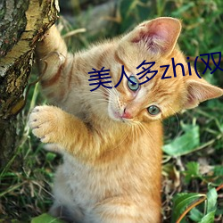 美人多zhi(双(雙)xing)最新(新)章(章)节