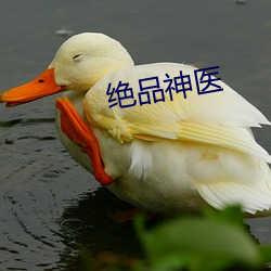 绝品神医