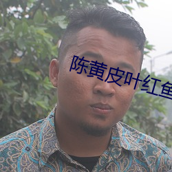 陳黃皮葉紅魚