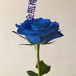 新(新)金瓶(瓶)梅观(觀)看(看)