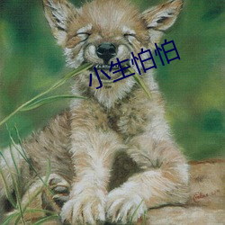 小生怕怕