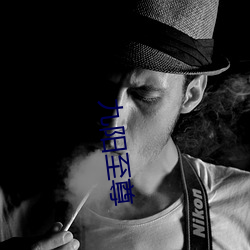 九阳至尊