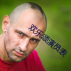 欢乐颂演员表
