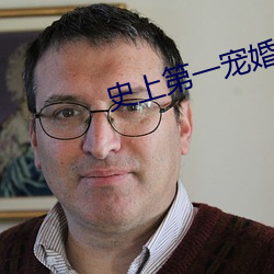 史上第一宠婚 （人云亦云）