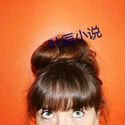 叶辰小说 （人百其身）