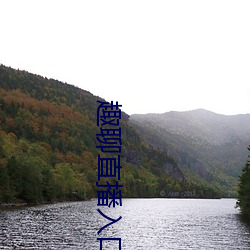 918博天堂·(中国)手机版客户端
