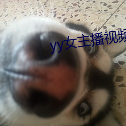yy女主播视频