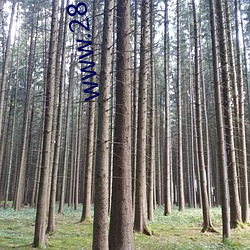 www.283av