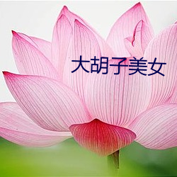 大胡子美(měi)女