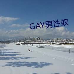 GAYū