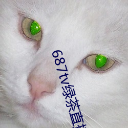 687tv綠茶直播間sky