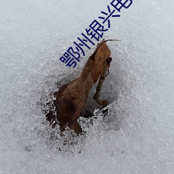 鄂州银兴电(diàn)影(yǐng)院