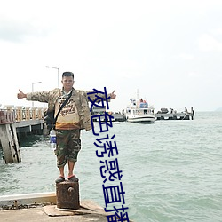 夜(yè)色诱惑直播